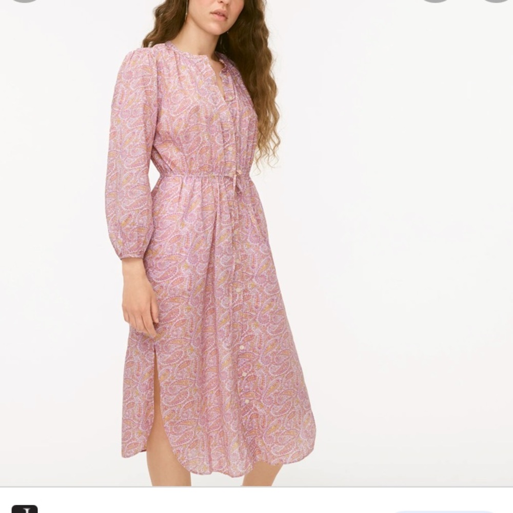 NWT J.Crew Cotton Voile Paisley Dress